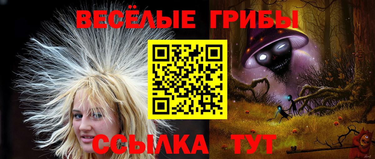 Псилоцибиновые грибы мицелий Звенигород